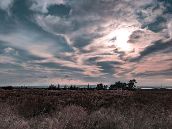 Scenic view of field against sky during sunset