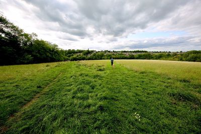 Scenic view of field against sky