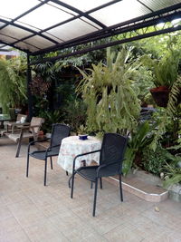 Chairs and table in greenhouse