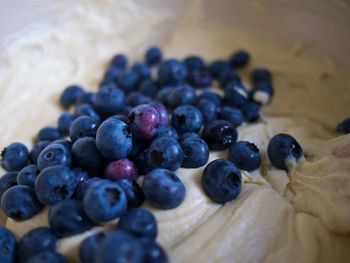 Close-up of blueberries in dough