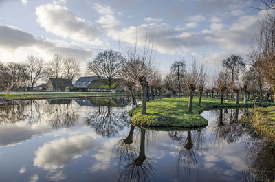 Clouds and pollard willows reflecting in a little river