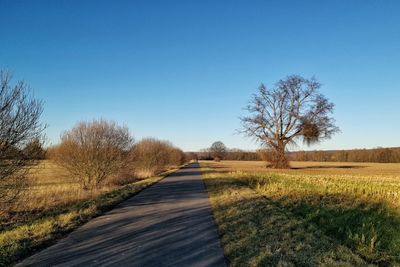 Road amidst trees on field against clear sky