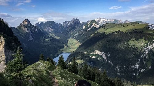 Panoramic shot of trees on landscape against sky