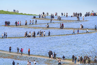 High angle view of people at park