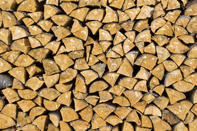 Full frame shot of logs in forest, firewood background, wooden texture