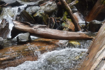 Scenic view of waterfall