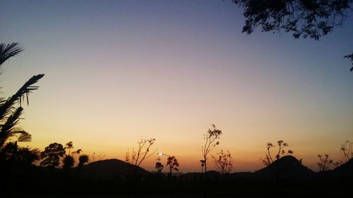 Silhouette trees on landscape against sky at sunset