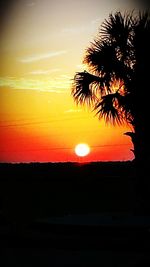Silhouette palm trees at sunset