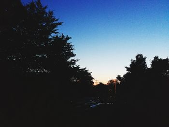 Silhouette trees against clear sky during sunset