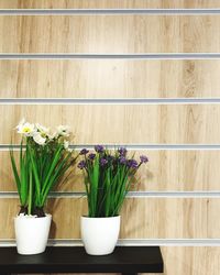 Potted plants on table against wall