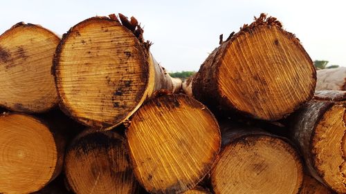 Stack of firewood