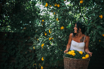 Full frame shot of plants in basket