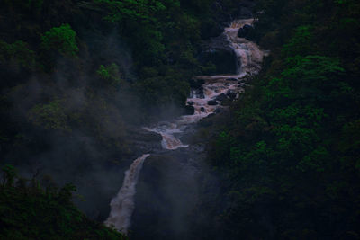 Scenic view of waterfall in forest