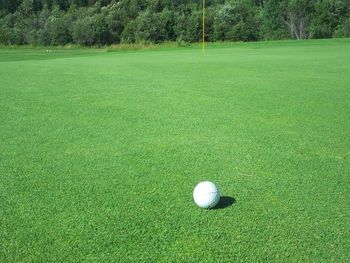 High angle view of golf course