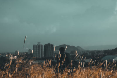 View of buildings in city against cloudy sky