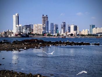 Sea by buildings against sky in city