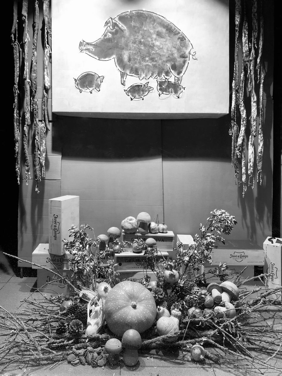 HIGH ANGLE VIEW OF SHEEP AND PLANTS IN GLASS WINDOW