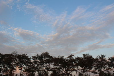 Low angle view of trees against clouds