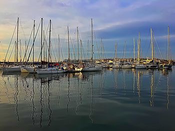 Boats moored at harbor