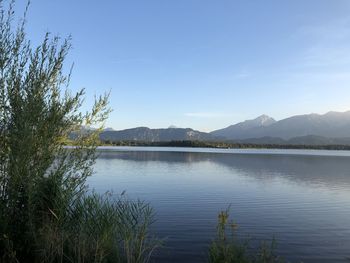 Scenic view of lake against blue sky