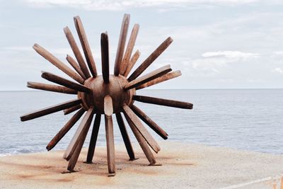 Close-up of wood on beach against sky