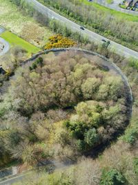 High angle view of green landscape