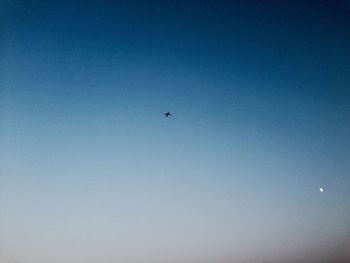 Low angle view of helicopter flying against clear blue sky