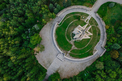 High angle view of plants on land