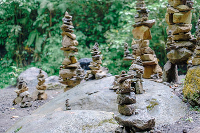 Stack of stones in forest