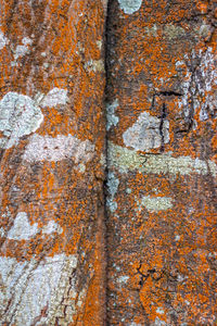 Full frame shot of old weathered wall