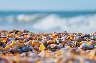 Close-up of pebbles at beach