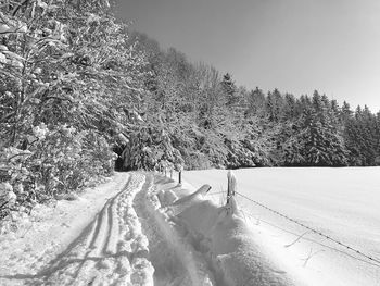 Snow covered land and trees on field