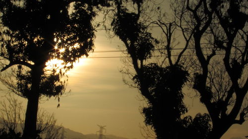 Silhouette trees against sky during sunset