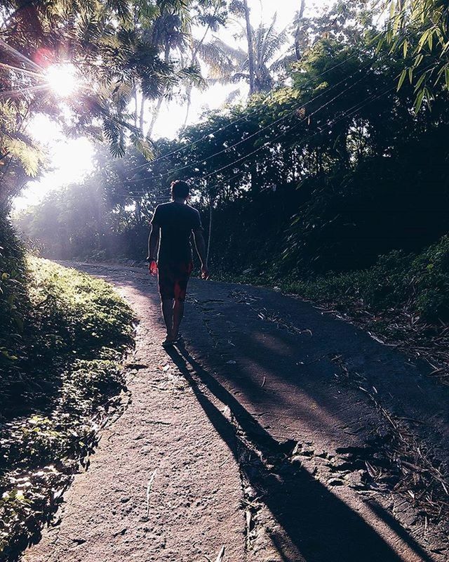 full length, walking, lifestyles, leisure activity, rear view, tree, the way forward, sunlight, shadow, men, casual clothing, sun, person, silhouette, footpath, sunbeam, outdoors, road