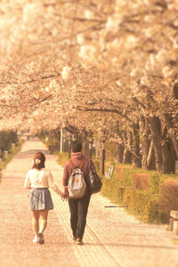 Rear view of couple walking on road