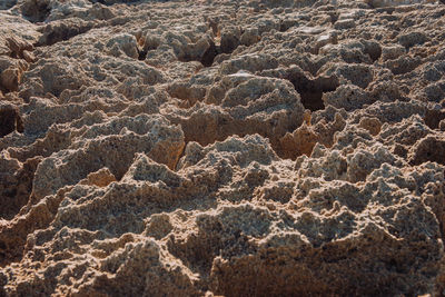 Close-up of sand dune in desert
