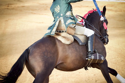 Low section of person riding horse on field