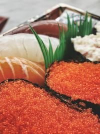 Close-up of red caviar sushi