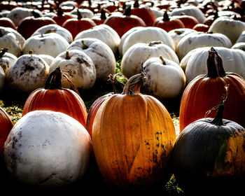 Full frame shot of pumpkins for sale