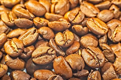 Full frame shot of coffee beans