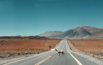 People riding horse on desert road against clear sky