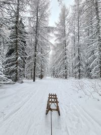 Close-up of snow