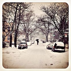 Cars parked on snow covered road