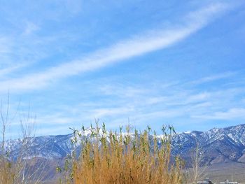 Scenic view of landscape against cloudy sky