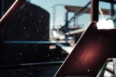 Close-up of window against blurred background