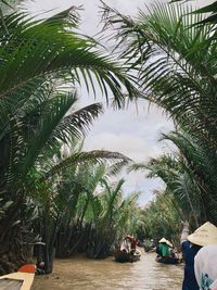 People by palm trees against sky