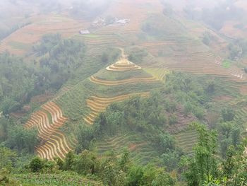 High angle view of agricultural landscape