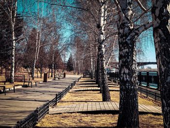 Empty footpath along bare trees in park