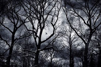 Low angle view of bare trees against sky