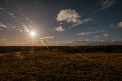 Scenic view of field against bright sun